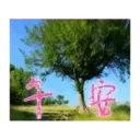 閃亮長輩圖 7