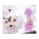 閃亮長輩圖 17