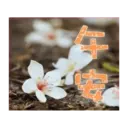 閃亮長輩圖 4