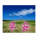 閃亮長輩圖 12