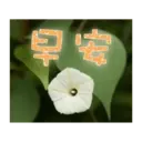 閃亮長輩圖 19