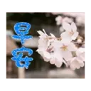 閃亮長輩圖 14