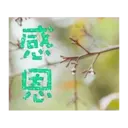 閃亮長輩圖 2