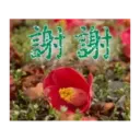 閃亮長輩圖 10