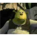 shrek 13