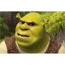 shrek 11