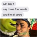 shrek 6