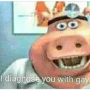 I diagnose you with gay