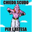 CHIEDO SCUDO
PER L'ATTESA