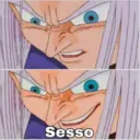 Sesso