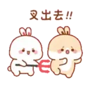 兔几5 17