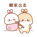 兔几5 19