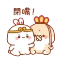 兔几5 20