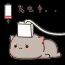GATITOS 13