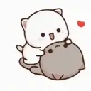 GATITOS 8