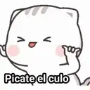 GATITOS 6
