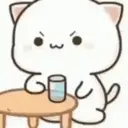 GATITOS 26