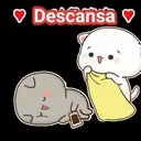 GATITOS 20