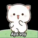 GATITOS 16
