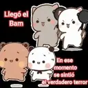 GATITOS 5