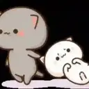 GATITOS 28