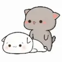 GATITOS 2