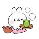 Soft rabbit (Mov) 28