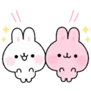 Soft rabbit (Mov) 11
