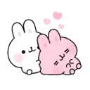 Soft rabbit (Mov) 5
