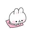 Soft rabbit (Mov) 3