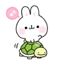 Soft rabbit (Mov) 18