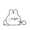 Soft rabbit (Mov) 20