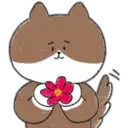 Ato Bunny   2 DZ 11
