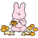 Ato Bunny   2 DZ 2