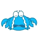 Blue Crab 🦀 🔵 9