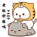 Mochi 12