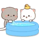 Mochi 5
