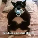 aaaaaaa2 17