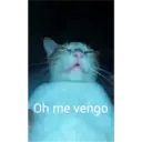 aaaaaaa2 13