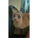aaaaaaa2 4