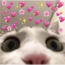 aaaaaaa2 6