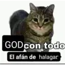 aaaaaaa2 24
