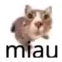 aaaaaaa2 15