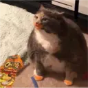 aaaaaaa2 26