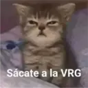 aaaaaaa2 5