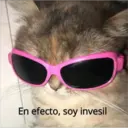 aaaaaaa2 11