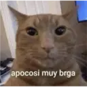 aaaaaaa3 7