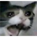 aaaaaaa3 4