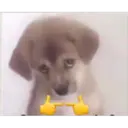 aaaaaaa3 14