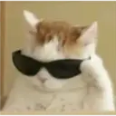 aaaaaaa3 3